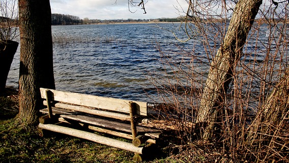 Eine Sitzbank aus Holz steht an einem Seeufer. © NDR Foto: Renate Reinbothe aus Thurow