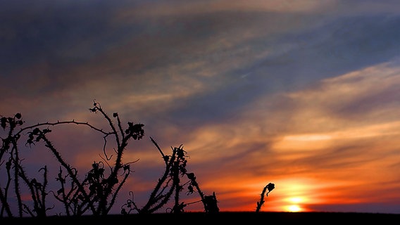 Sonnenuntergang am Stadtrand von Wismar © NDR Foto: Helmut Kuzina aus Wismar