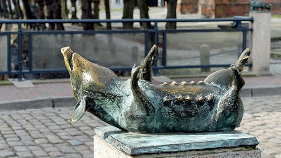 Schweine-Bronzeskulptur © NDR Foto: Helmut Kuzina aus Wismar