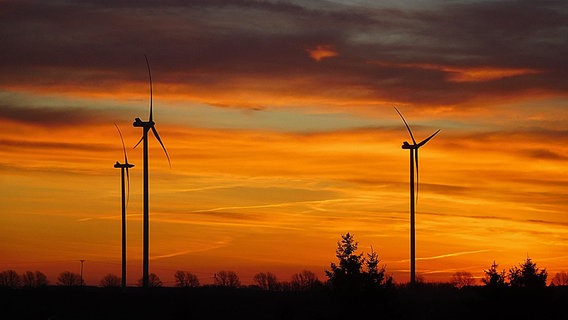 Sonnenaufgang mit Windrädern © NDR Foto: Nicole Grote aus Parchim