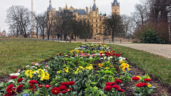 Frühblüher im Schlossgarten in Schwerin © NDR Foto: Helmut Kuzina aus Wismar