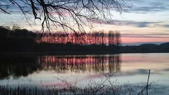 Blick über einen See auf eine Baumsilhouette © NDR Foto: Birgit von Rekowski aus Eggersdorf