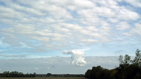 Eine außergewöhnliche Wolkenbildung über einem Feld. © NDR Foto: Jürgen Thiele aus Tramm zur Lewitz
