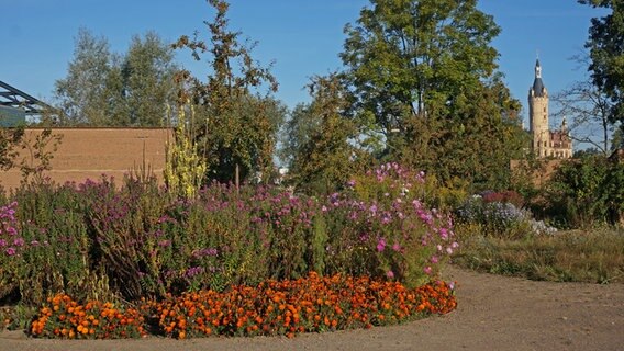 Bunte Blumen in einer Grünanlage © NDR Foto: Robert Auer aus Schwerin