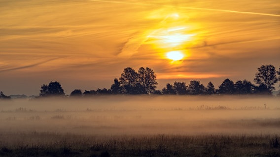 Sonnenaufgang über Wiesen © NDR Foto: Thomas Bouchholz aus Grabow