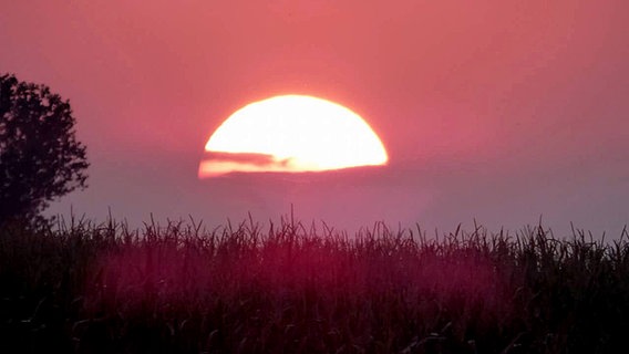 Die untergehende Sonne färbt den Himmel und die Landschaft rot. © NDR Foto: Andreas Walter aus Schwerin