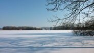 Blick auf den gefrorenen Schweriner See © NDR Foto: Uwe Tiedemann aus Klein Rogahn