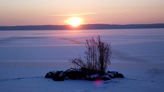 Sonnenuntergang über dem gefrorenen Schweriner See © NDR Foto: Gudrun Schwartz aus Schwerin