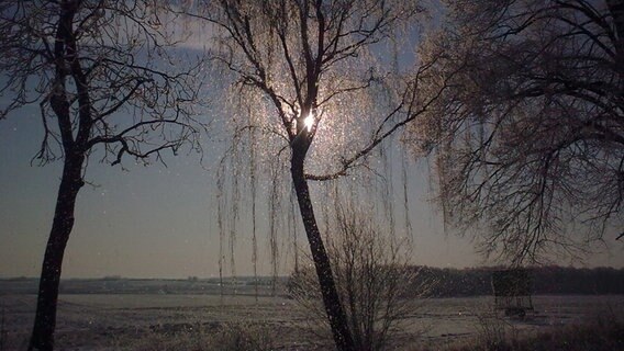 Verschneite Winterlandschaft © NDR Foto: Madlen Kalugin aus Schlagresdorf