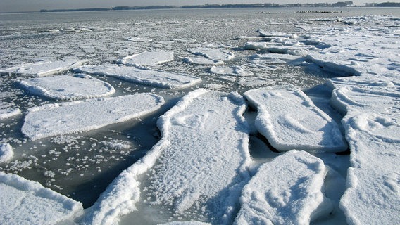 Eisschollen schwimmen auf dem Wohlenberger Wiek © NDR Foto: Benno Müller aus Schwerin