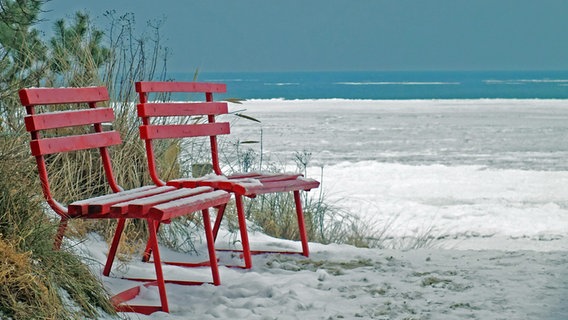 Zwei rote Sitzbänke stehen am vereisten Strand von Boltenhagen. © NDR Foto: Holger Felix aus Wismar