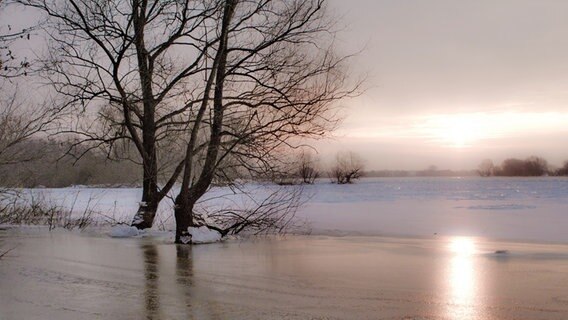 Sonnenaufgang über der zugefrorenen Elbe. © NDR Foto: Matthias Gehrke aus Boizenburg