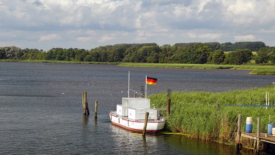 Naturschutzgebiet Dassower See © NDR Foto: Helmut Kuzina aus Wismar