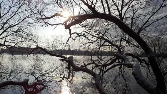 Winter am Ostorfer See © NDR Foto: Michael Zeeck aus Schwerin