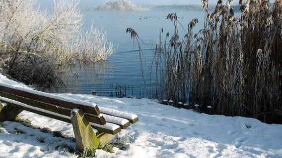 Eine Bank steht an einem winterlichen See. © NDR Foto: Martina Peche aus Zarrentin