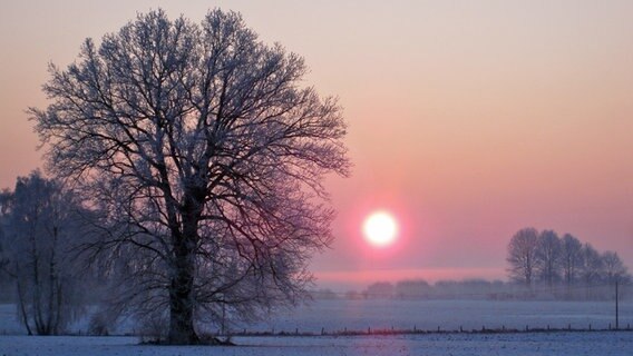 Morgenröte über schneebedeckter Landschaft nahe Schossin © NDR Foto: Dagmar Buschhauer aus Schossin