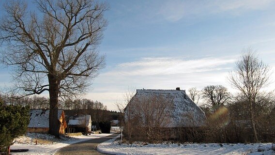 Ein kalter Wintertag in Groß-Labenz © NDR Foto: Ralph-Ingo Unger aus Groß-Labenz