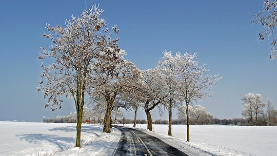 verschneite Landstraße © NDR Foto: Heidi Lappann aus Wismar