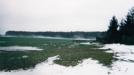 Der Schnee rund um Cramonshagen ist zur Hälfte geschmolzen. © NDR Foto: Walter Schmidt aus Cramonshagen