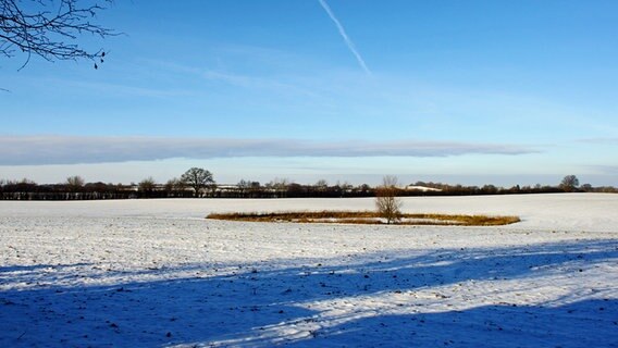 Ein Feld in der Nähe von Dorf Ganzow im Schnee. © NDR Foto: Manfred Seibke aus Dorf Ganzow