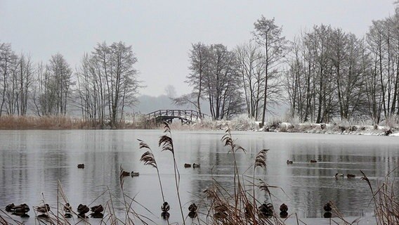 Der Kirchsee am frühen Morgen in Zarrentin © NDR Foto: Daniela Kuhrau aus Neuhof