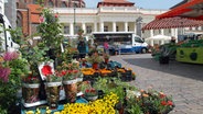 Blumenstand auf dem Schweriner Marktplatz © NDR Foto: Helmut Kuzina aus Wismar