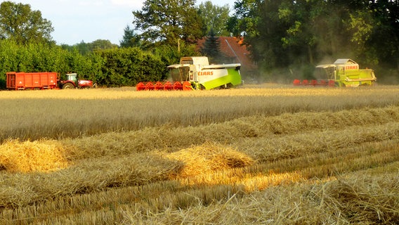 Erntemaschinen mähen das Getreide vom Feld © NDR Foto: Kathrin Küchler aus Rastow