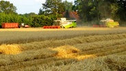 Erntemaschinen mähen das Getreide vom Feld © NDR Foto: Kathrin Küchler aus Rastow
