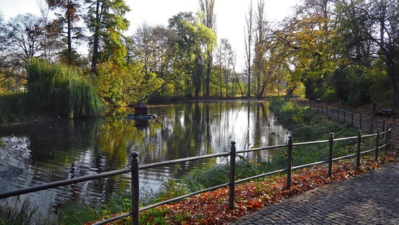Teich ist von einem Geländer und Gehweg umgeben im Lindengarten Wismar. © NDR Foto: Helmut Kuzina aus Wismar