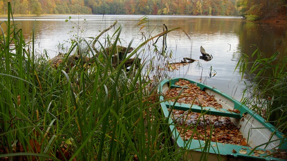 Boot mit herbstlichem Laub © NDR Foto: Marita Krauel aus Rostock