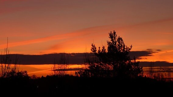 Roter Sonnenaufgang © NDR Foto: Roswitha von Stade aus Wismar