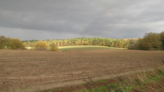 Feld im Herbst © NDR Foto: Anfred Hellmann aus Grevesmühlen