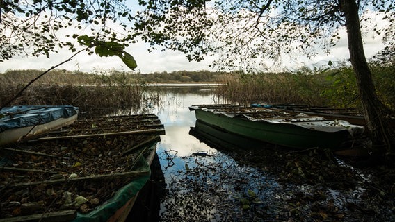 Zwei Boote, bedeckt mit Ästen und Laub, liegen in einer Einbuchtung eines Sees © NDR Foto: Manfred Seibke aus Dorf Ganzow