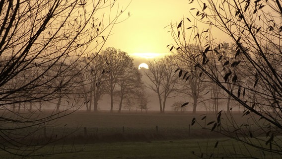 Sonnenaufgang bei Nebel © NDR Foto: Thomas Kuhk aus Hoort