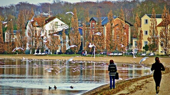 Häuser am Zippendorfer Strand in Schwerin © NDR Foto: Arnold Prosch aus Schwerin