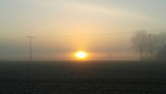 Sonnenaufgang im Nebelschleier bei Wittenburg © NDR Foto: Anna Bilderbeck aus Wittenburg