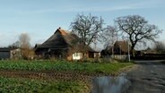 Reet gedeckte Häuser stehen in einem kleinen Dorf. © NDR Foto: Helmut Kuzina aus Wismar