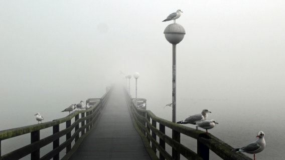Dichter Nebel an der Seebrücke in der Wismarbucht © NDR Foto: Helmut Kuzina aus Wismar