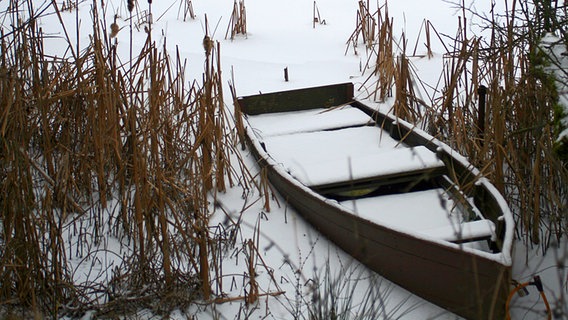 ein Boot ist am Ufer eines Sees eingefroren © NDR Foto: Renate Reinbothe aus Thurow