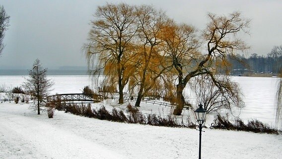 Im Schweriner Burggarten liegt Schnee. © NDR Foto: Arnold Prosch aus Schwerin