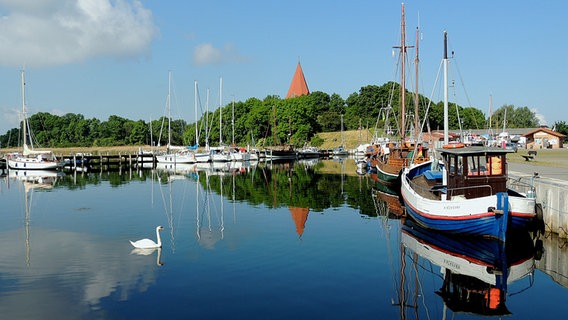 Hafen mit Booten und einem Schwan © NDR Foto: Horst Laatz aus Insel Poel