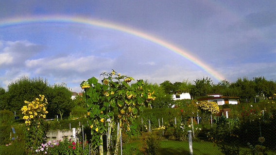 Regenbogen über einer Gartenanlage © NDR Foto: Stefanie Losch aus Wismar