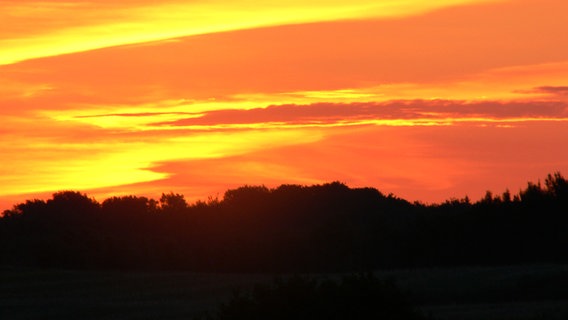 Sonnenaufgang © NDR Foto: Marion Johannovsky aus Rehna