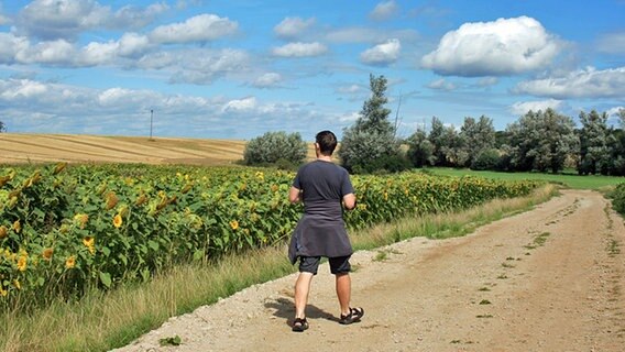 Wanderweg zwischen Thurow und Brüel © NDR Foto: Renate Reinbothe aus Thurow