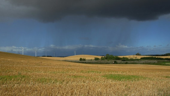 Regenschauer bei Kamin © NDR Foto: Wolfram Lingsminat aus Rostock