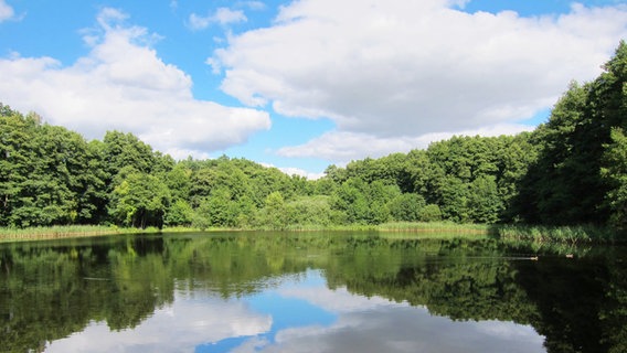 Der Himmel spiegelt sich in der glatten Wasseroberfläche eines Teiches. © NDR Foto: Bernd Severin aus Kuppentin