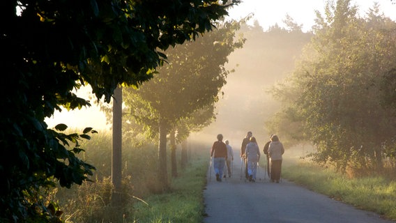 Menschen walken auf einem Radweg durch den Nebel. © NDR Foto: Egon Fischer aus Stäbelow