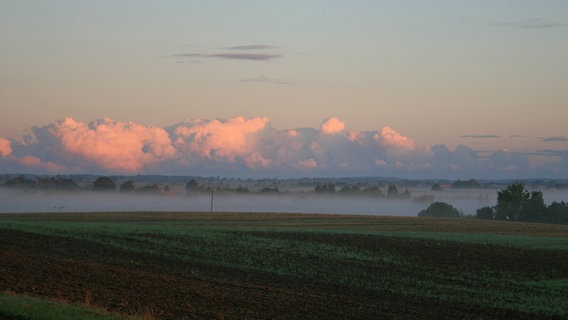 Feld bei Thurow im Morgennebel © NDR Foto: Renate Reinbothe aus Thurow