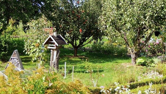 Verwunschener Garten auf Poel © NDR Foto: Horst Laatz von der Insel Poel