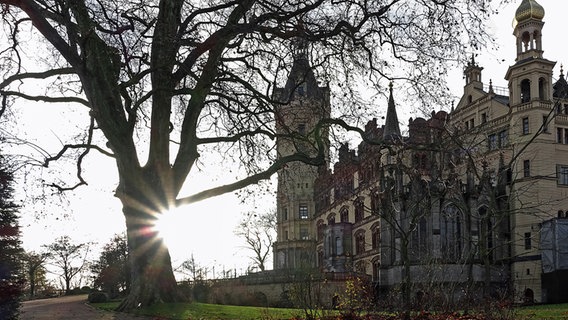 Die tiefstehende Sonne scheint durch die Bäume im Schweriner Burggarten. © NDR Foto: Helmut Kuzina aus Wismar